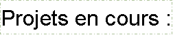 Zone de Texte: Projets en cours :